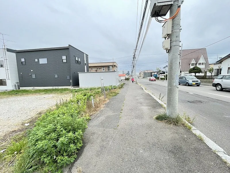 富岡町1丁目桐花通沿い①