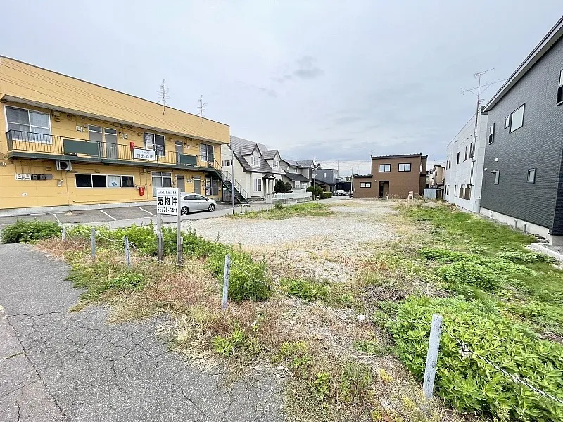 富岡町1丁目桐花通沿い①