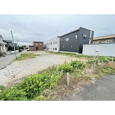 富岡町1丁目桐花通沿い①
