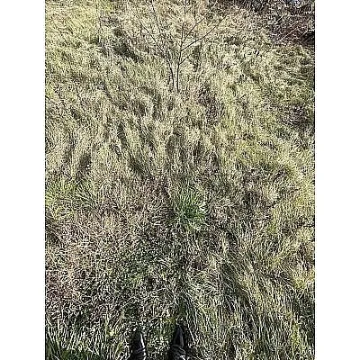 鳴川2丁目売土地