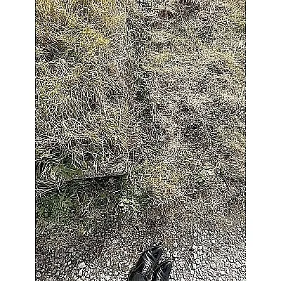鳴川2丁目売土地