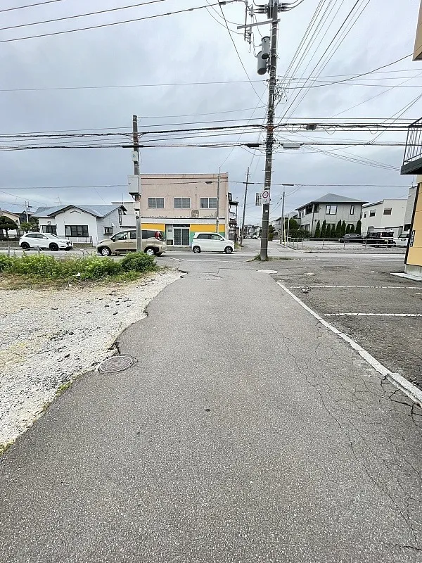 富岡町1丁目桐花通沿い②