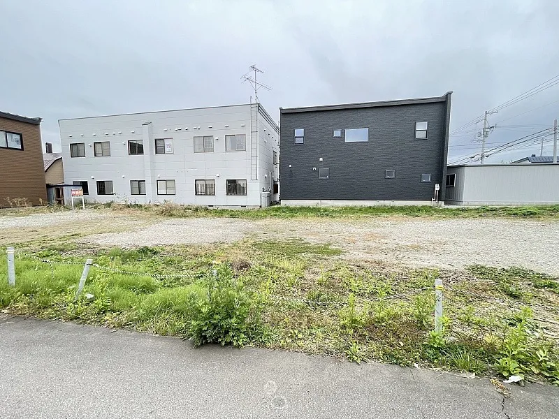 富岡町1丁目桐花通沿い②