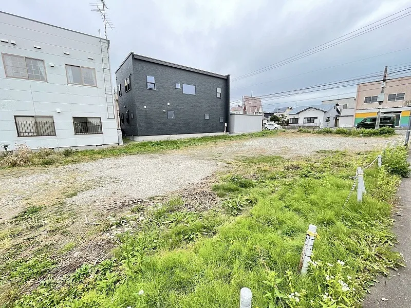 富岡町1丁目桐花通沿い②