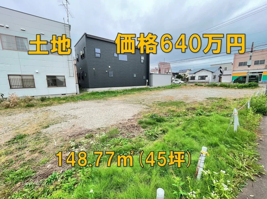 富岡町1丁目桐花通沿い②